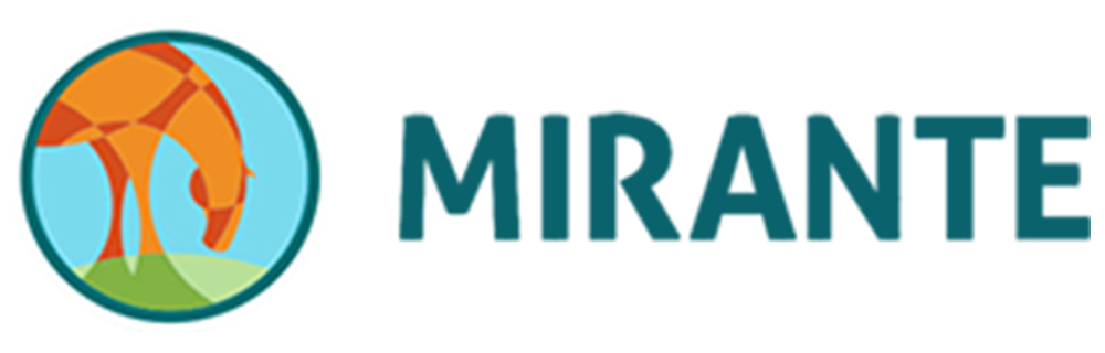 Home: Mirante Marketing Equestre